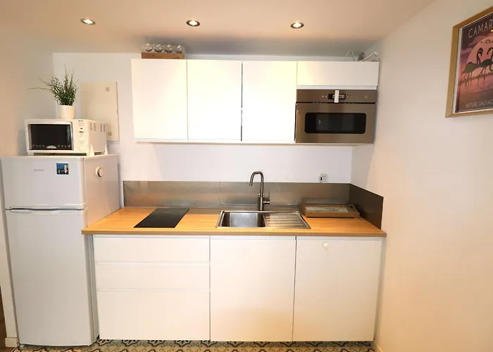2p Avec Terrasse, Garage, 250m Plage, 4 Pers, Wifi Optionnel - Fr-1-307-165 Apartment